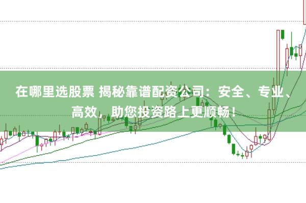 在哪里选股票 揭秘靠谱配资公司：安全、专业、高效，助您投资路上更顺畅！