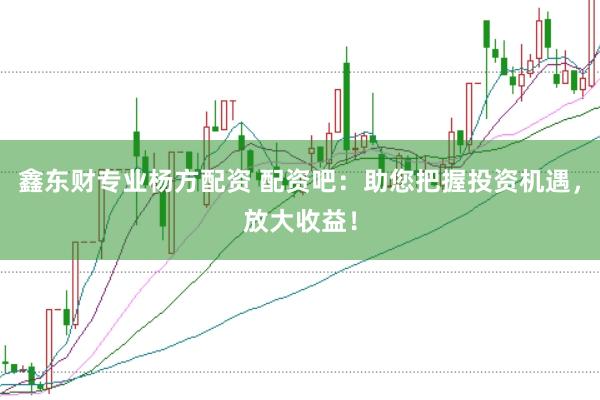 鑫东财专业杨方配资 配资吧：助您把握投资机遇，放大收益！